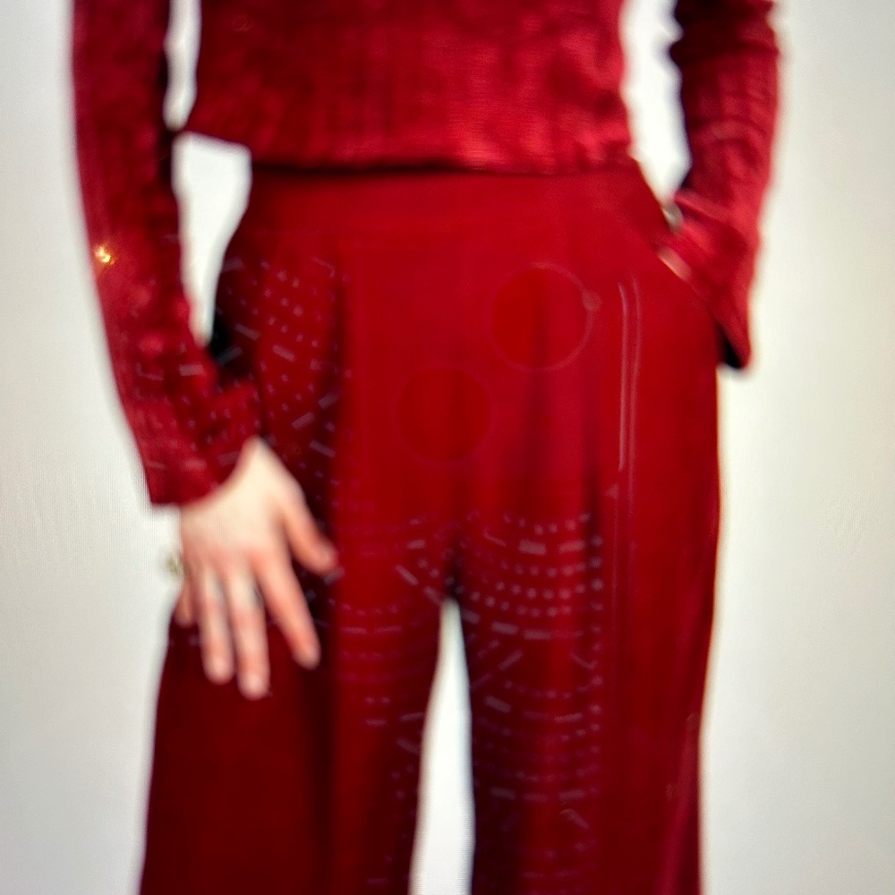 041 NWT Nordstrom Band of the Free Merian Merlot Viscose Pants